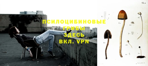 герыч Вяземский