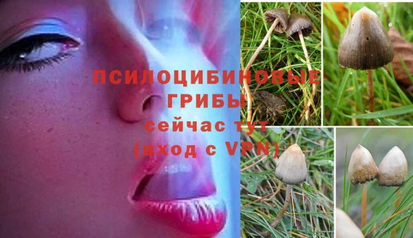 прущие крисы Сясьстрой